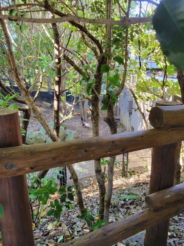 明るくなった展示場④