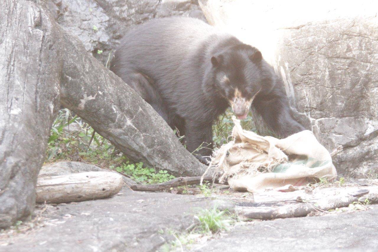 麻袋を落下させた美雨
