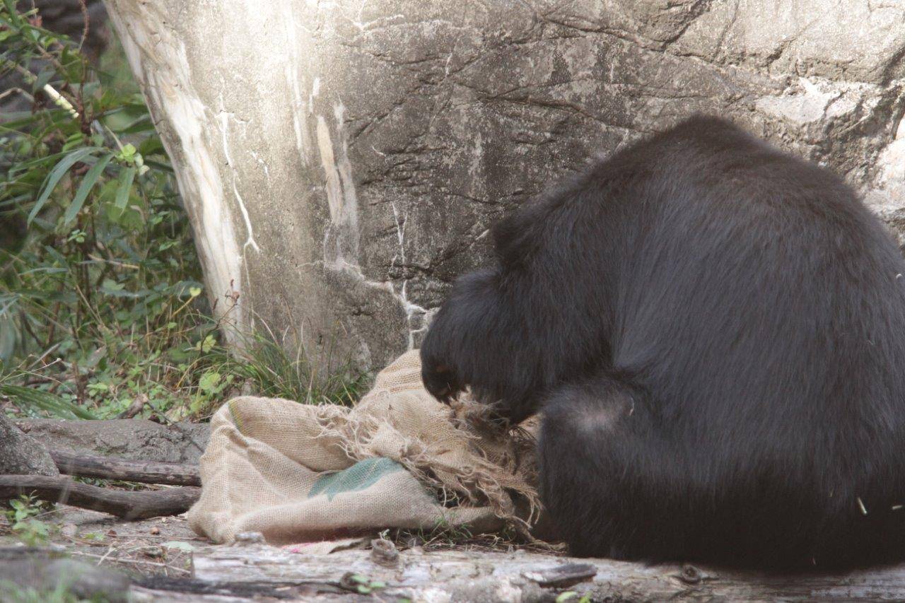 麻袋をいじる美雨④