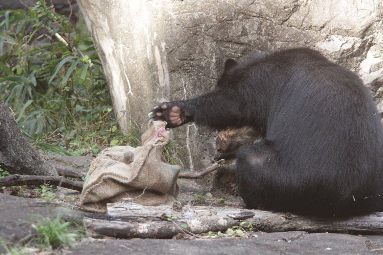 麻袋をいじる美雨①