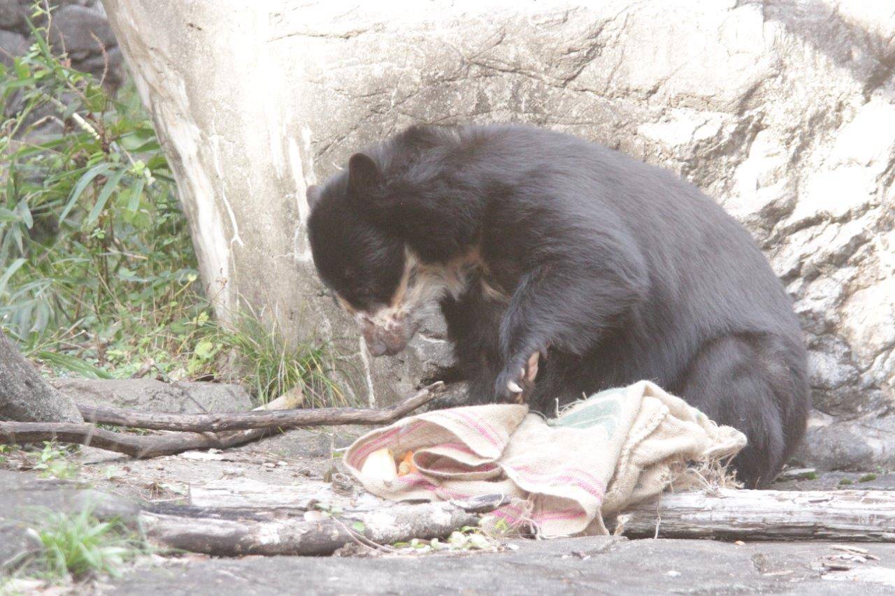 麻袋をいじる美雨②