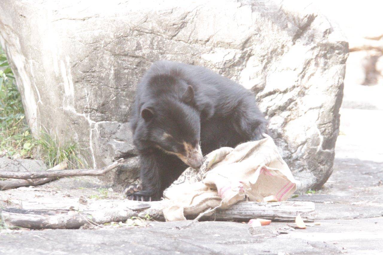 麻袋をいじる美雨③