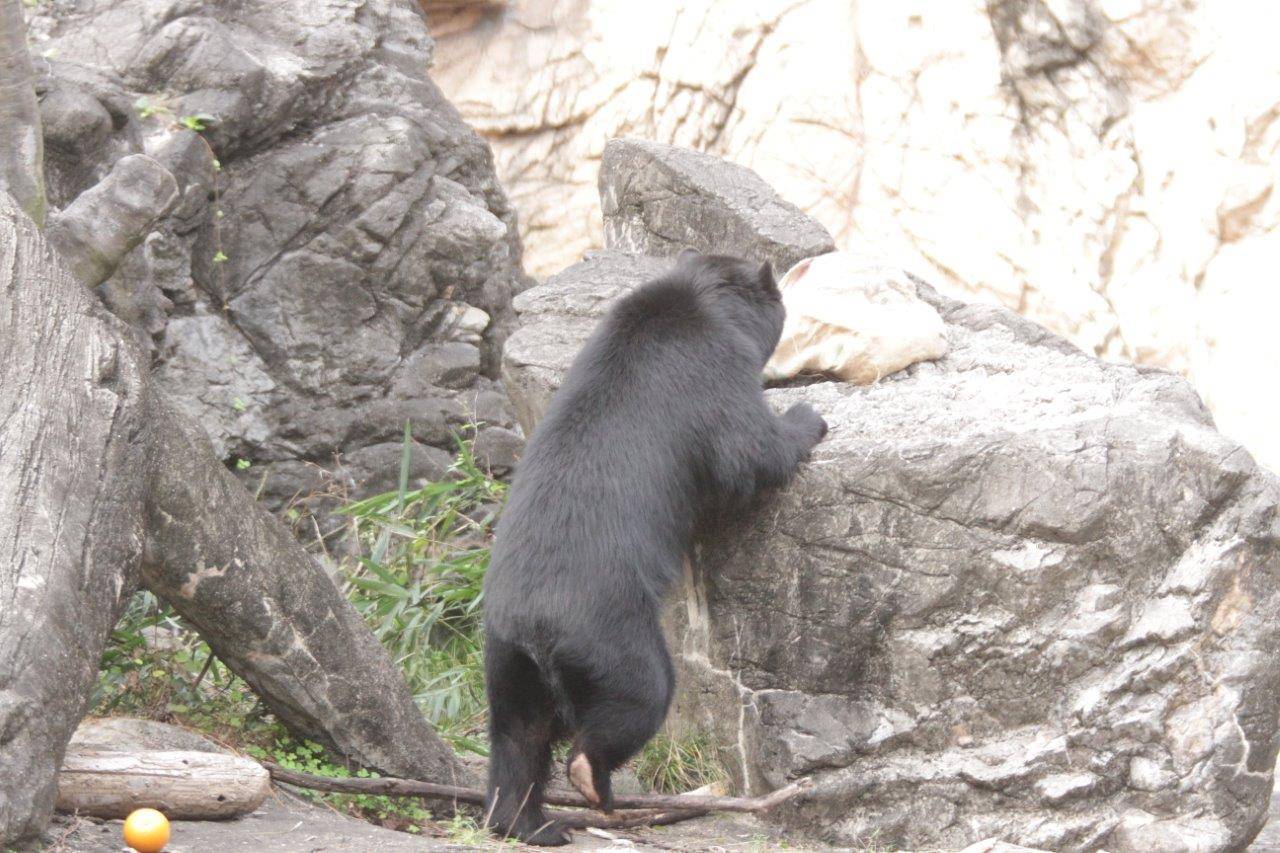 擬岩上の麻袋を気にして立ち上がる美雪