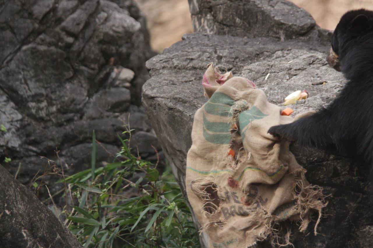 擬岩上から麻袋を落とす美雪