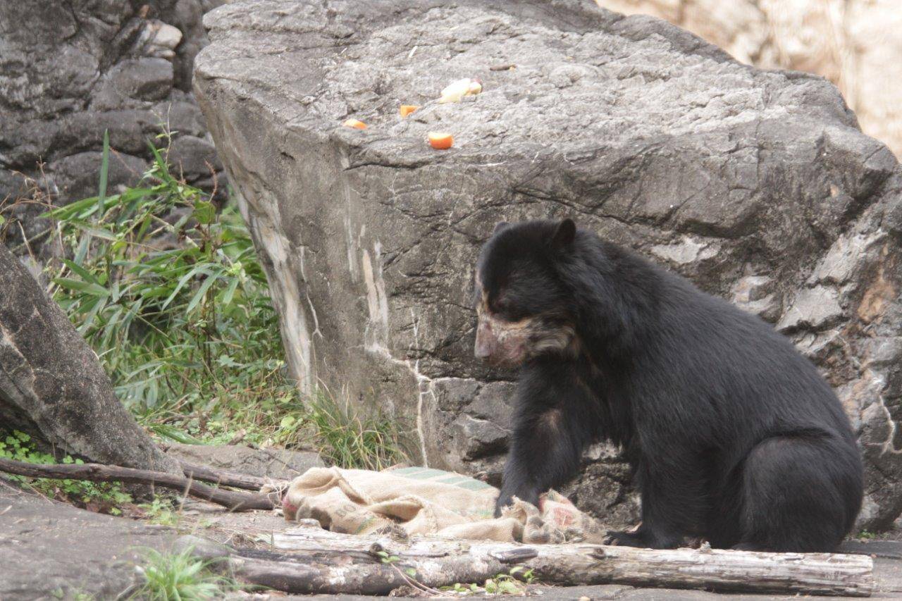 麻袋を落とした美雪