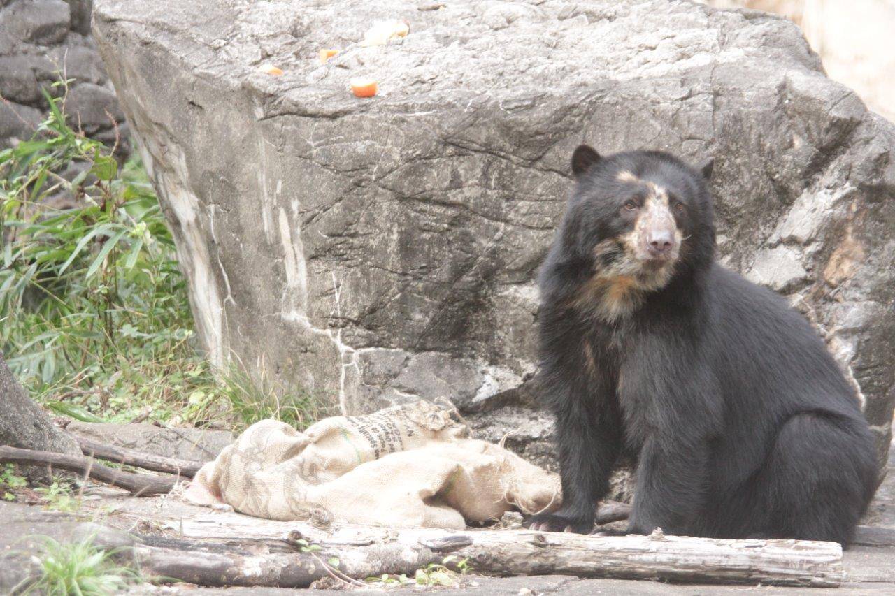麻袋を落とした後、こちらを向く美雪