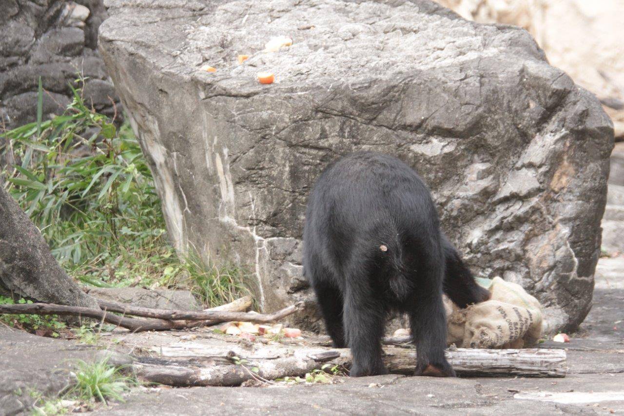 落とした麻袋をいじる美雪