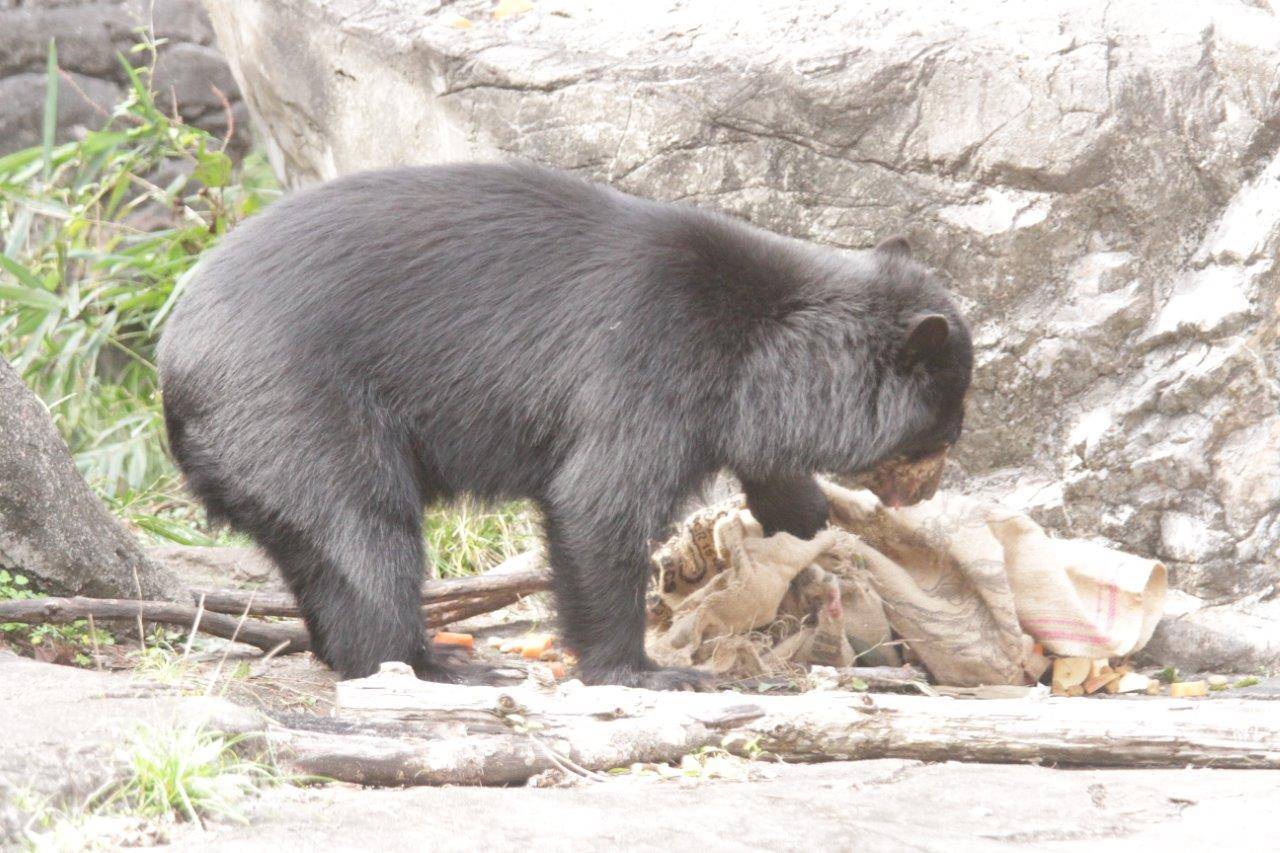 麻袋の中を気にする美雪
