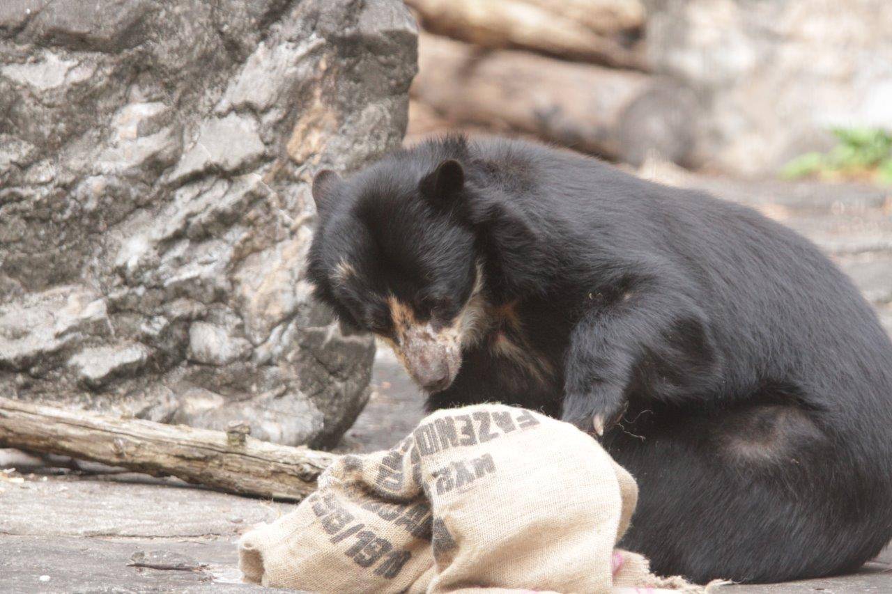 麻袋をいじる美雨②