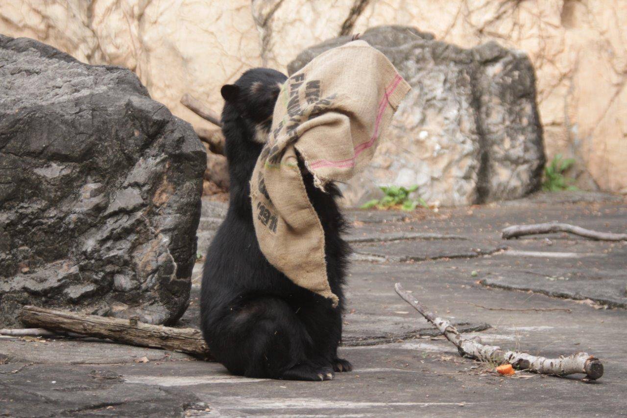 座って麻袋いじる美雨②