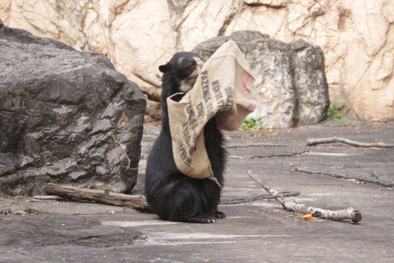座って麻袋いじる美雨③