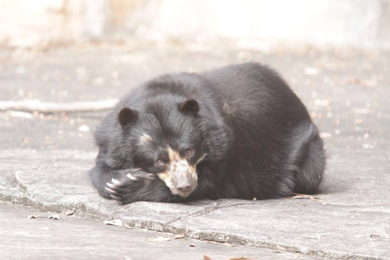 園路から見えない場所で休む美雨
