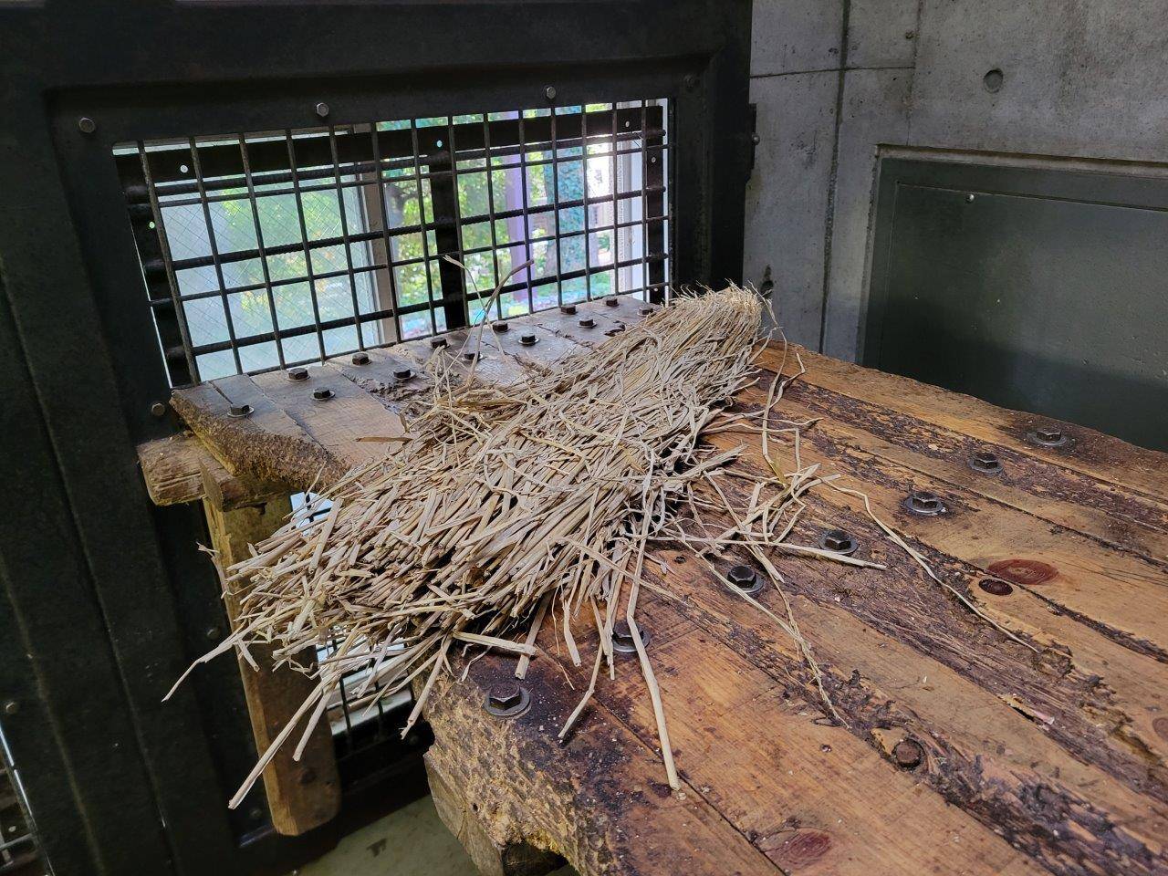 寝台の上に置かれた藁