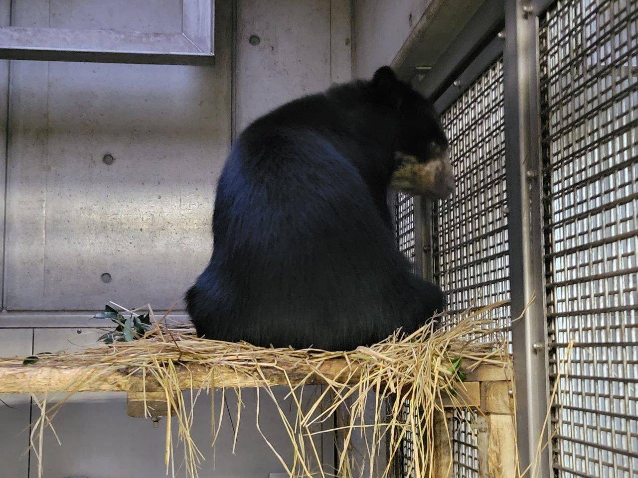 寝台上に作った藁のベットに腰掛ける美雪①