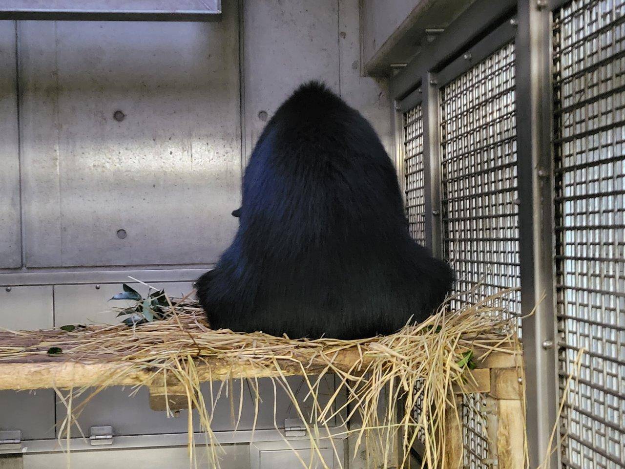 寝台上に作った藁のベットに腰掛ける美雪②