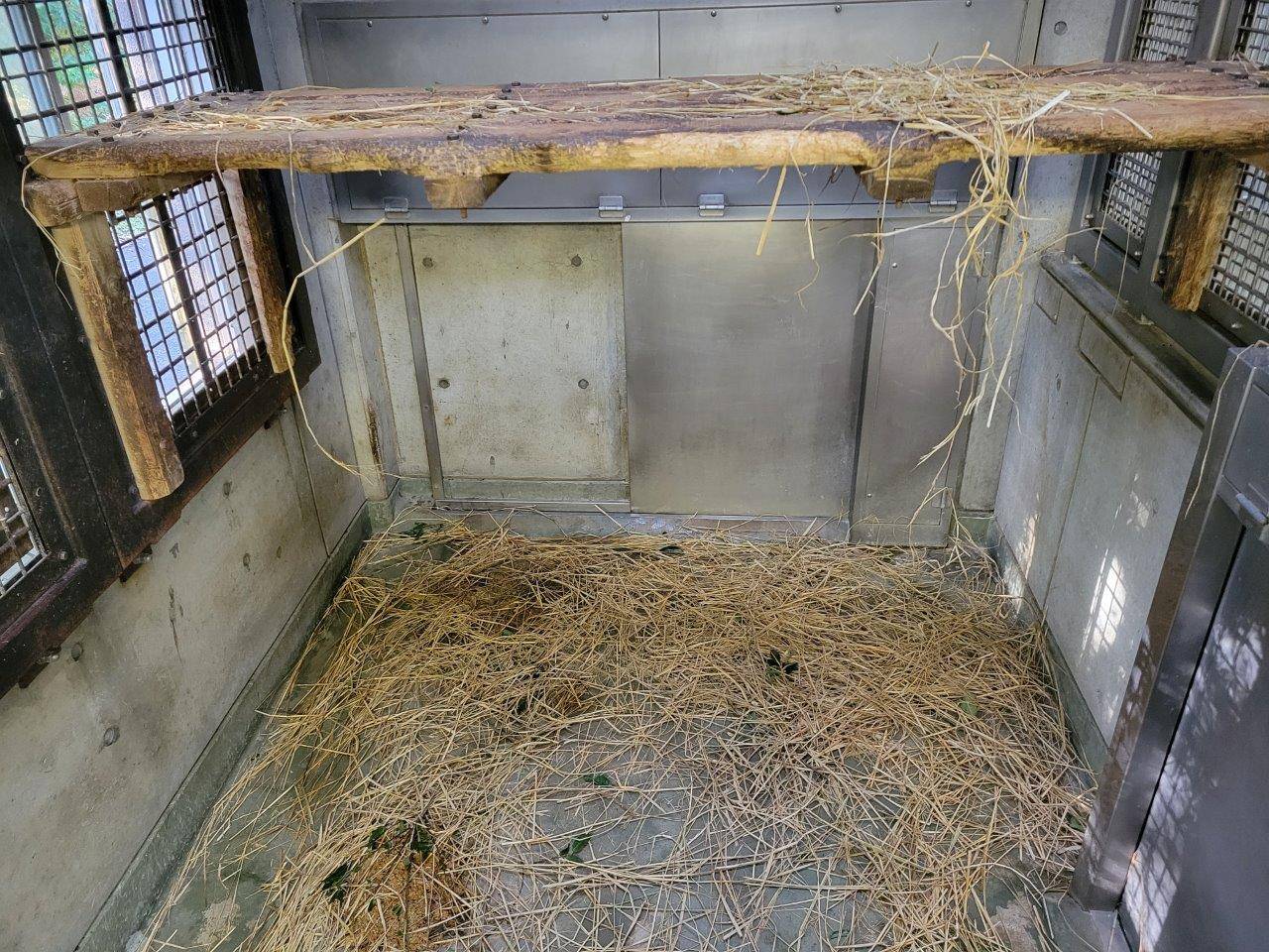 藁が散らかった寝室