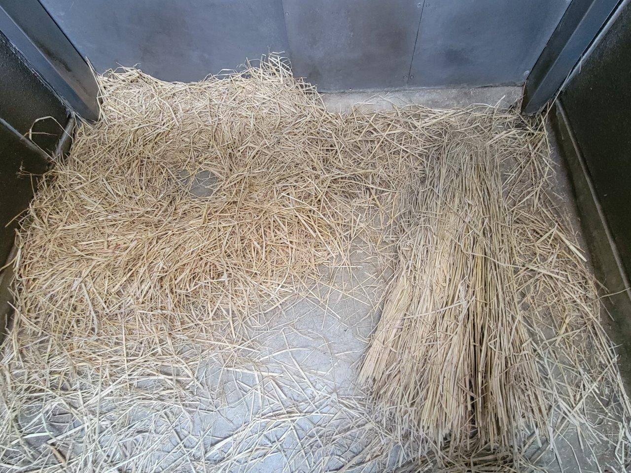 ほぐされた稲藁と新たに加えた稲藁