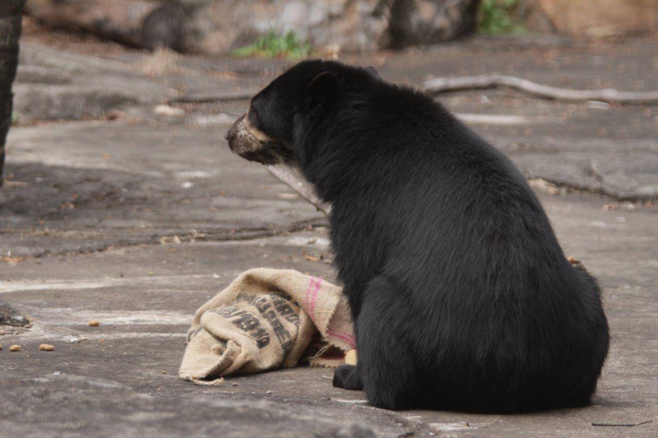 麻袋の近くに座る美雪