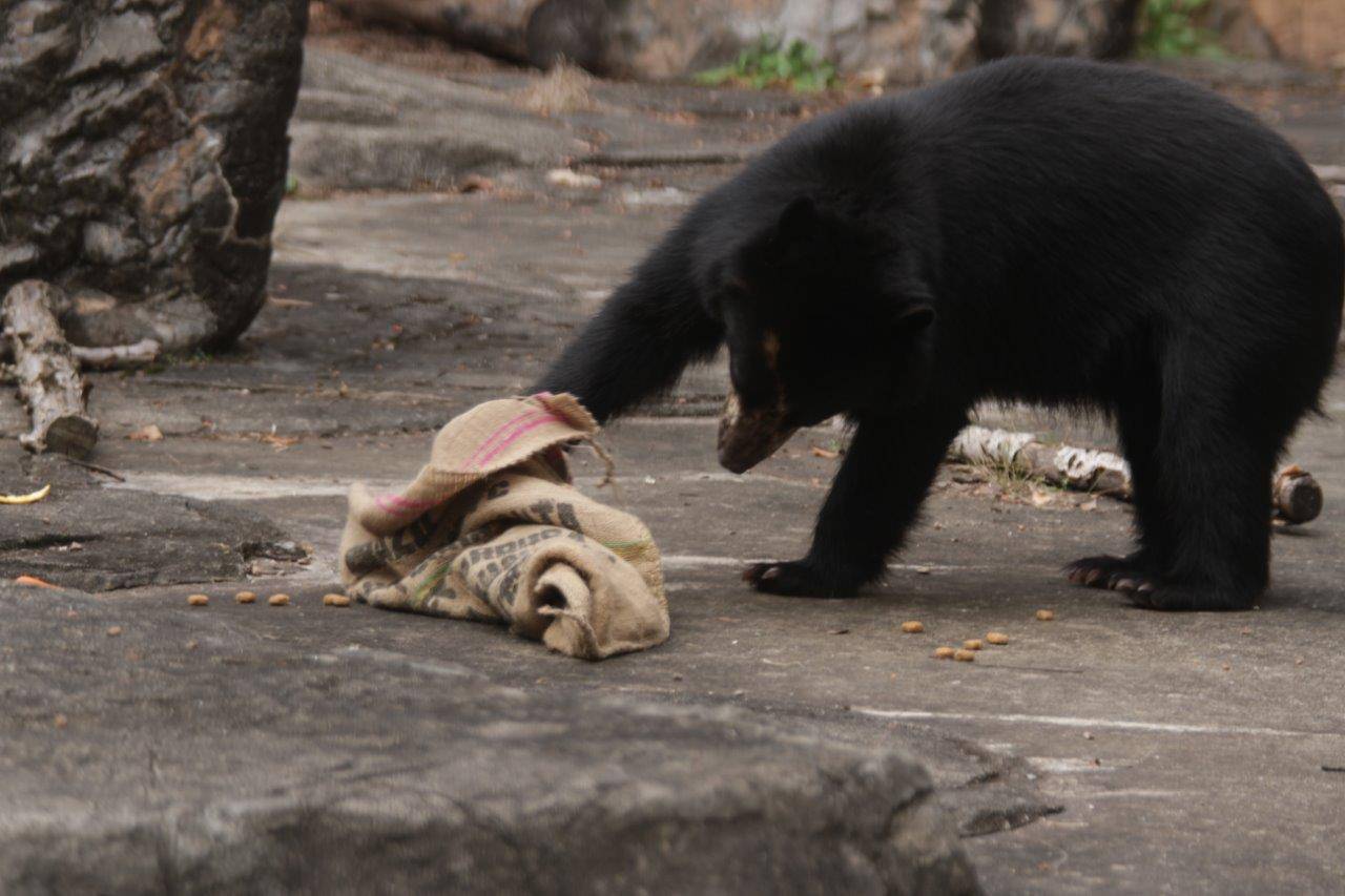 麻袋をいじる美雪⑤