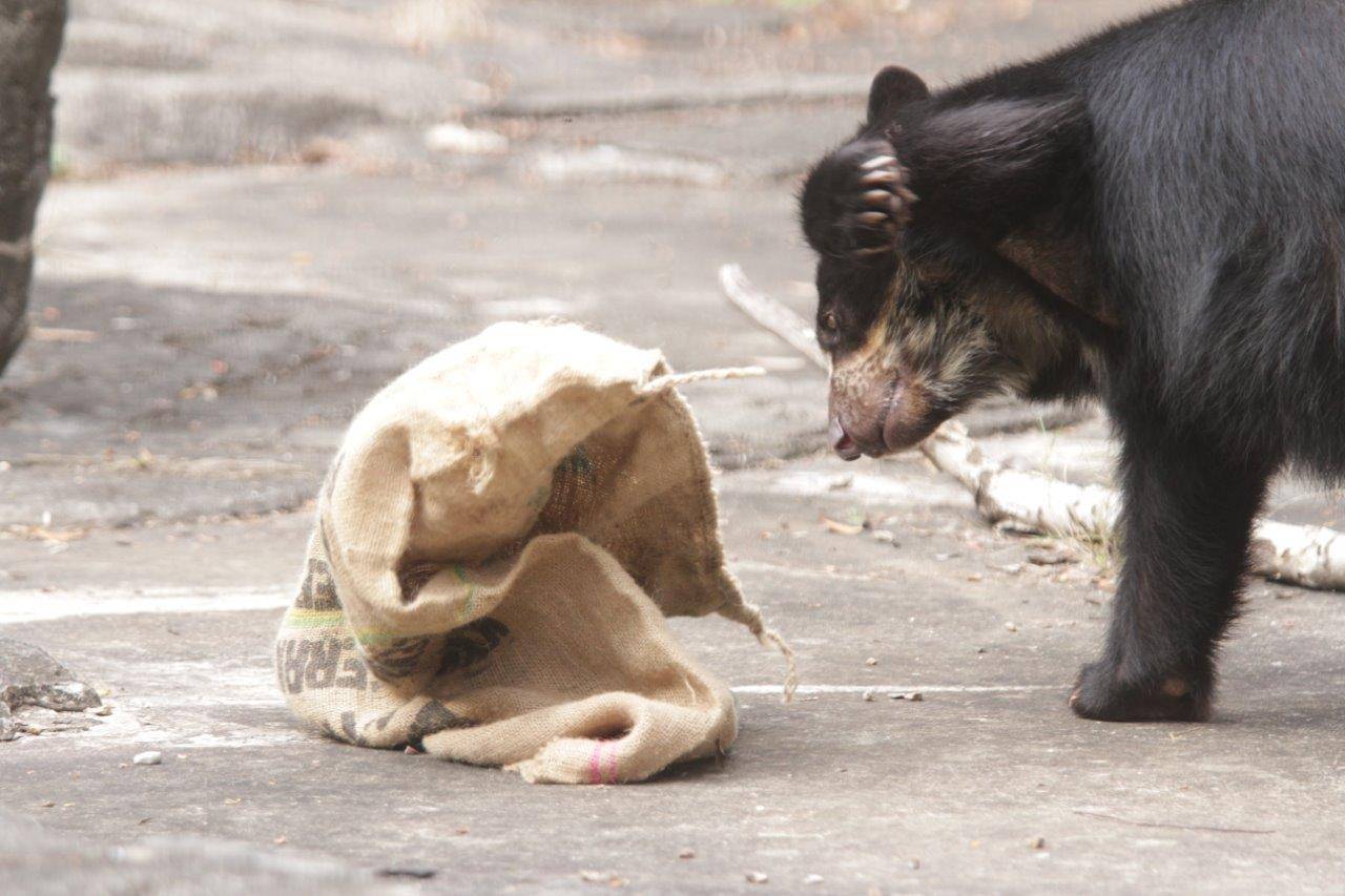 麻袋をいじる美雪③