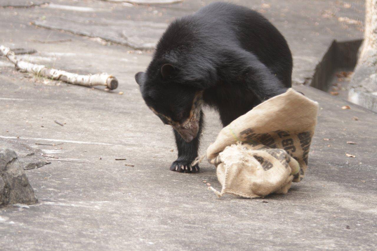 麻袋をいじる美雪①