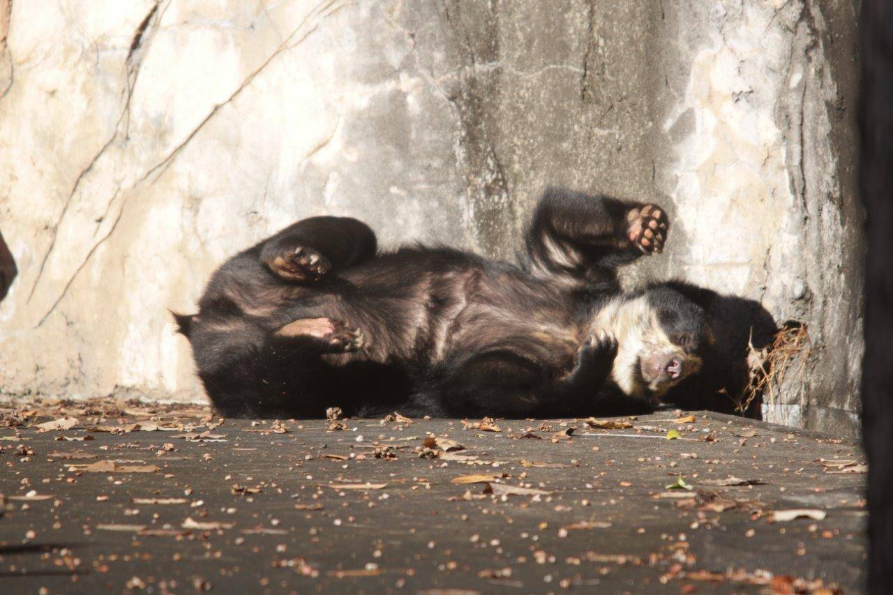 日向で休む美雨③