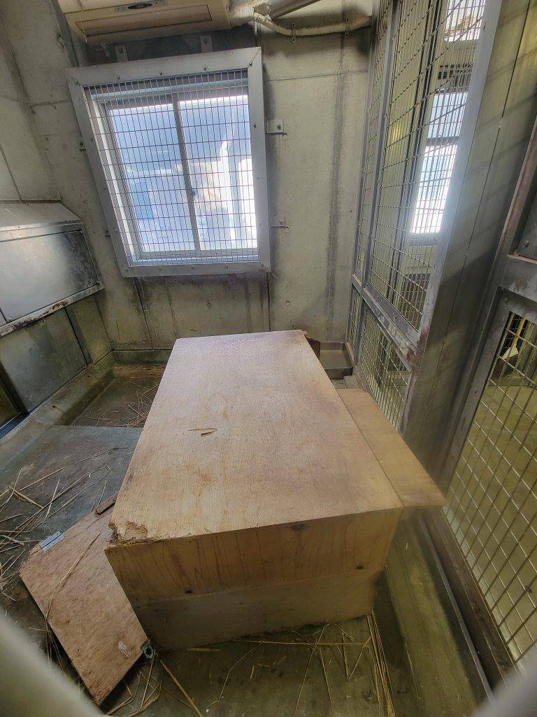 破壊されたパパマルの巣箱