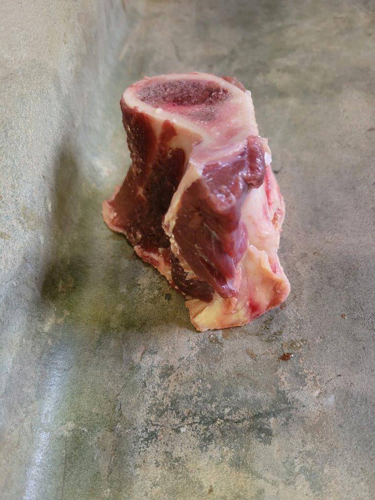 与える前の骨①