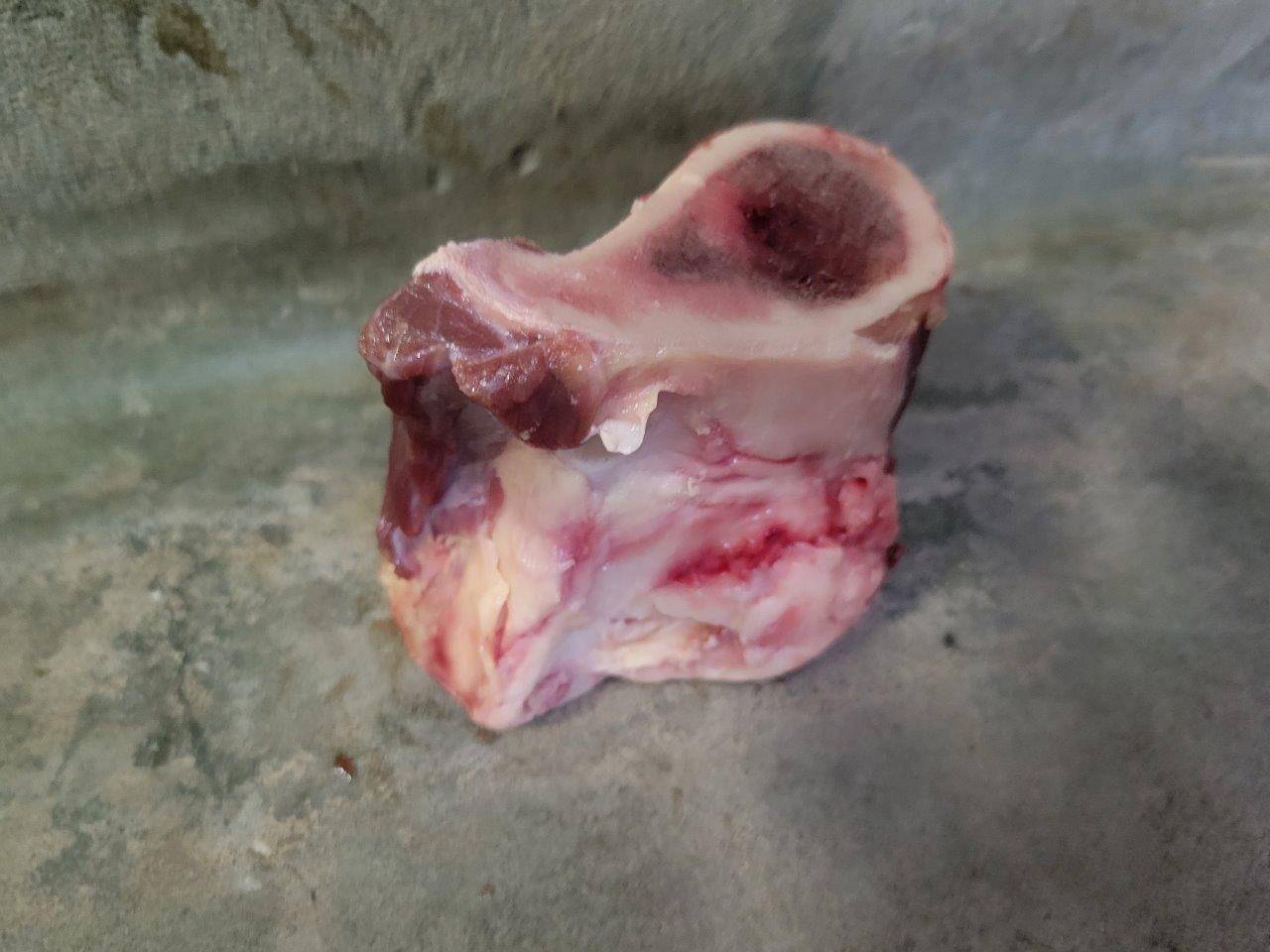 与える前の骨②