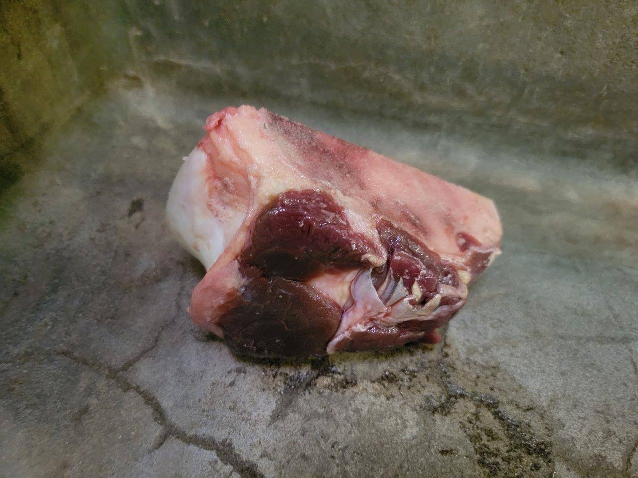 与える前の骨③