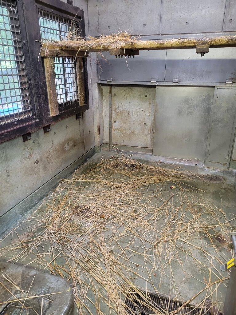 藁は、寝台下にも落下し散らかっている