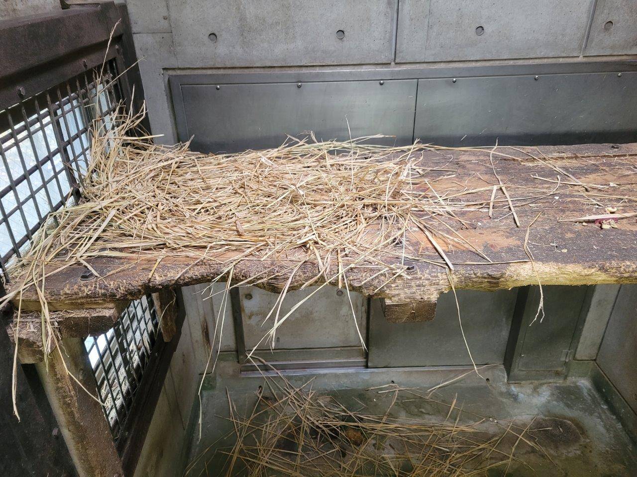 ミユキによってほぐされた、寝台上の藁