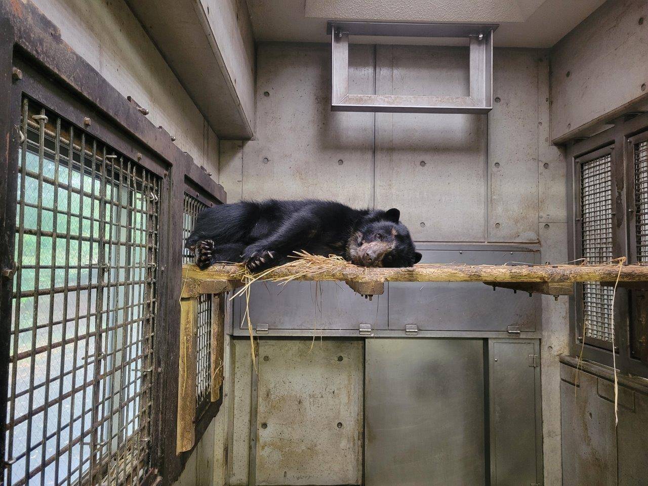 寝台上で休む美雪①