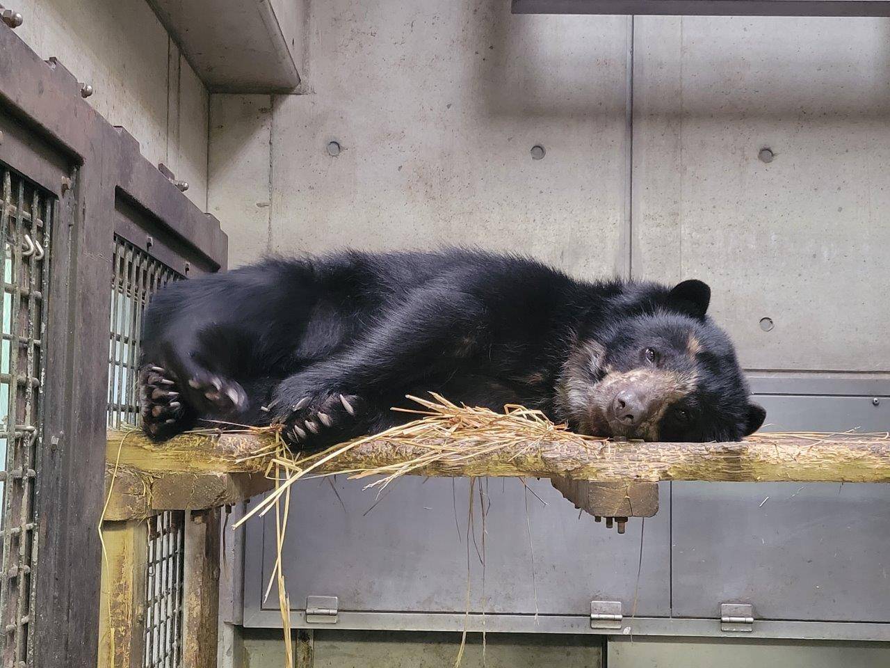 寝台上で休む美雪②