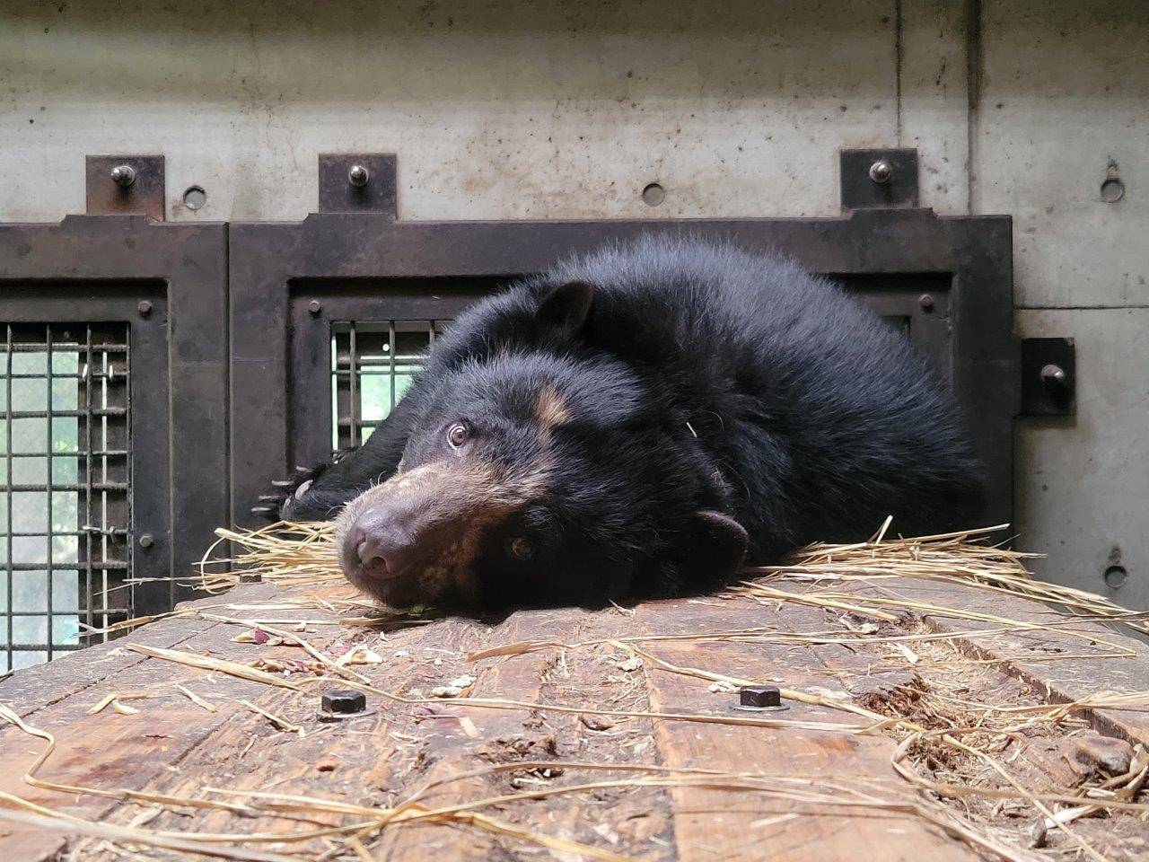 カメラを見つめる美雪②