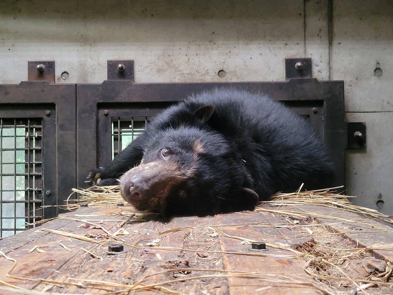 カメラを見つめる美雪③