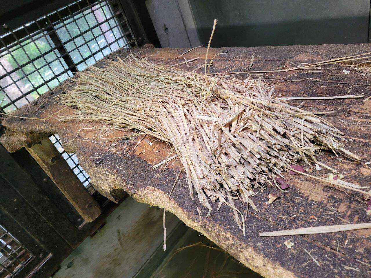 寝台上に置かれた藁