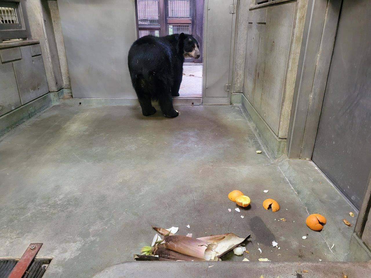 タケノコを残し、外に向かうミウ