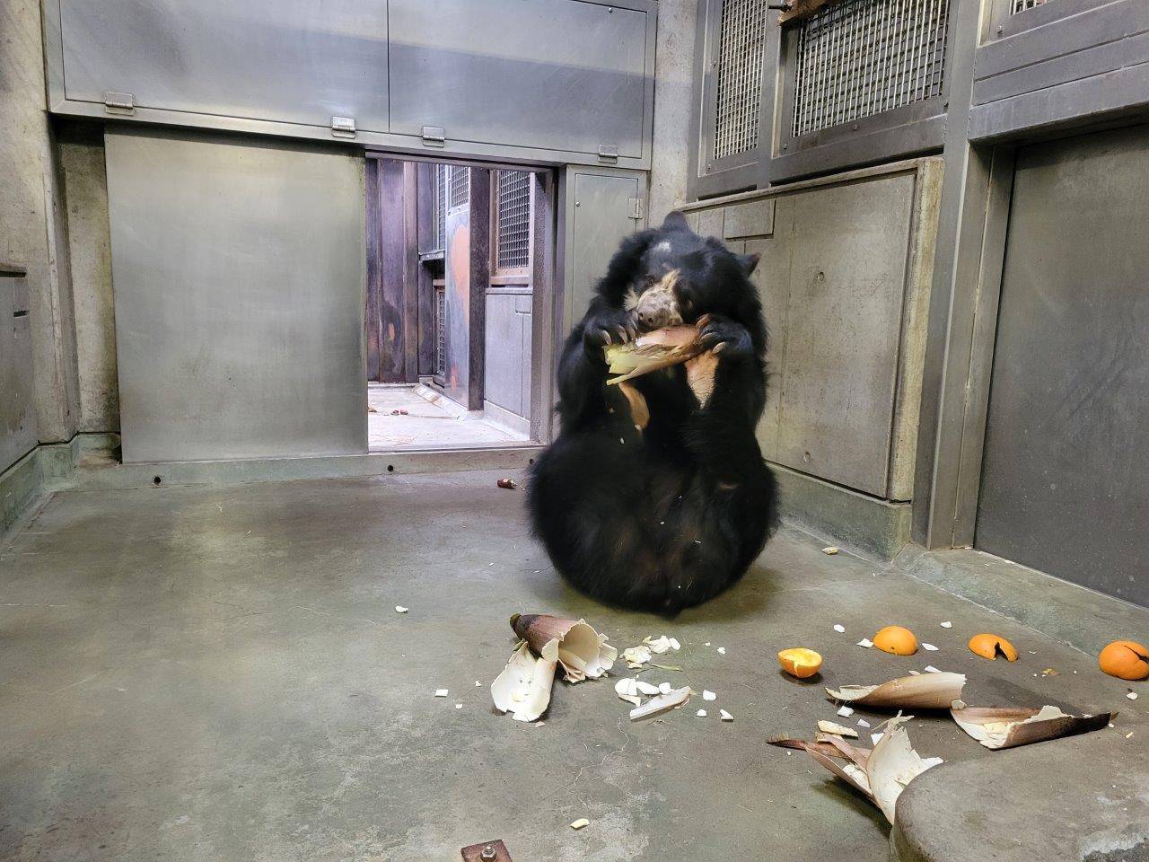 タケノコで遊ぶミウ①