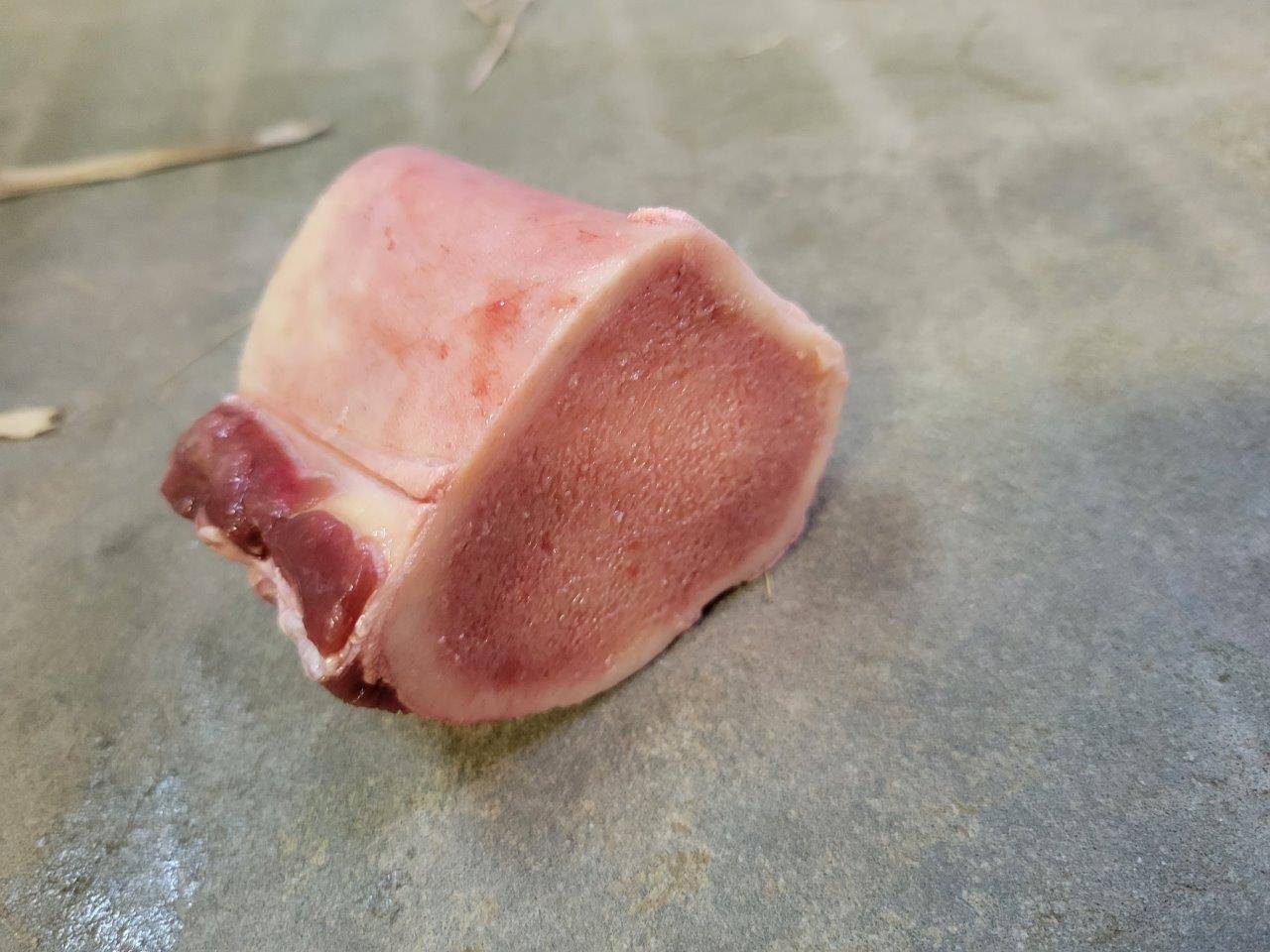 ヤブイヌが齧る前の骨①