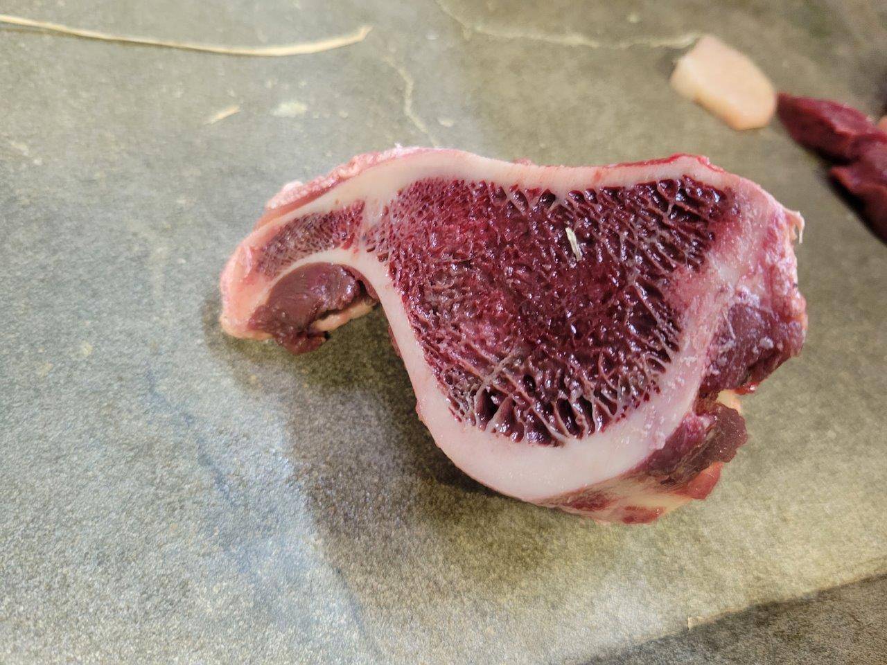 ヤブイヌが齧る前の骨②