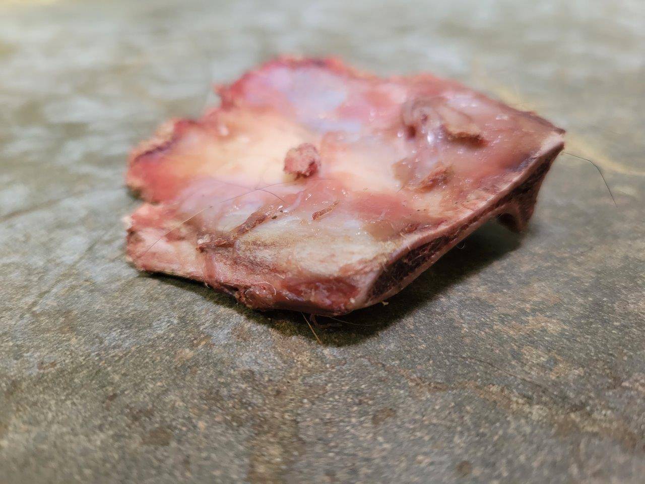 翌朝残っていた骨の部分②