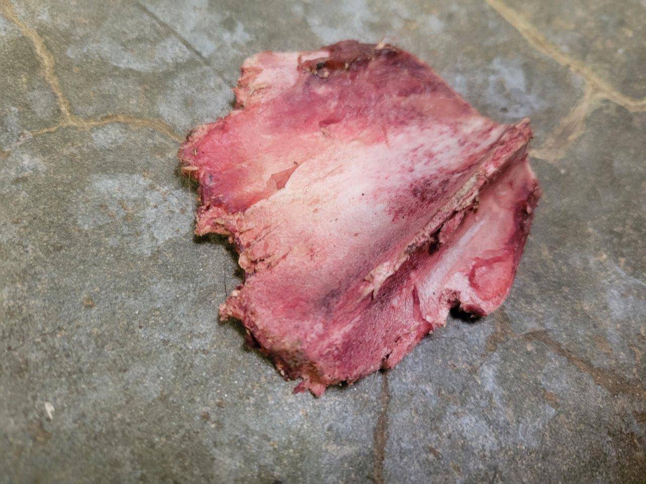 翌朝残っていた骨の部分①