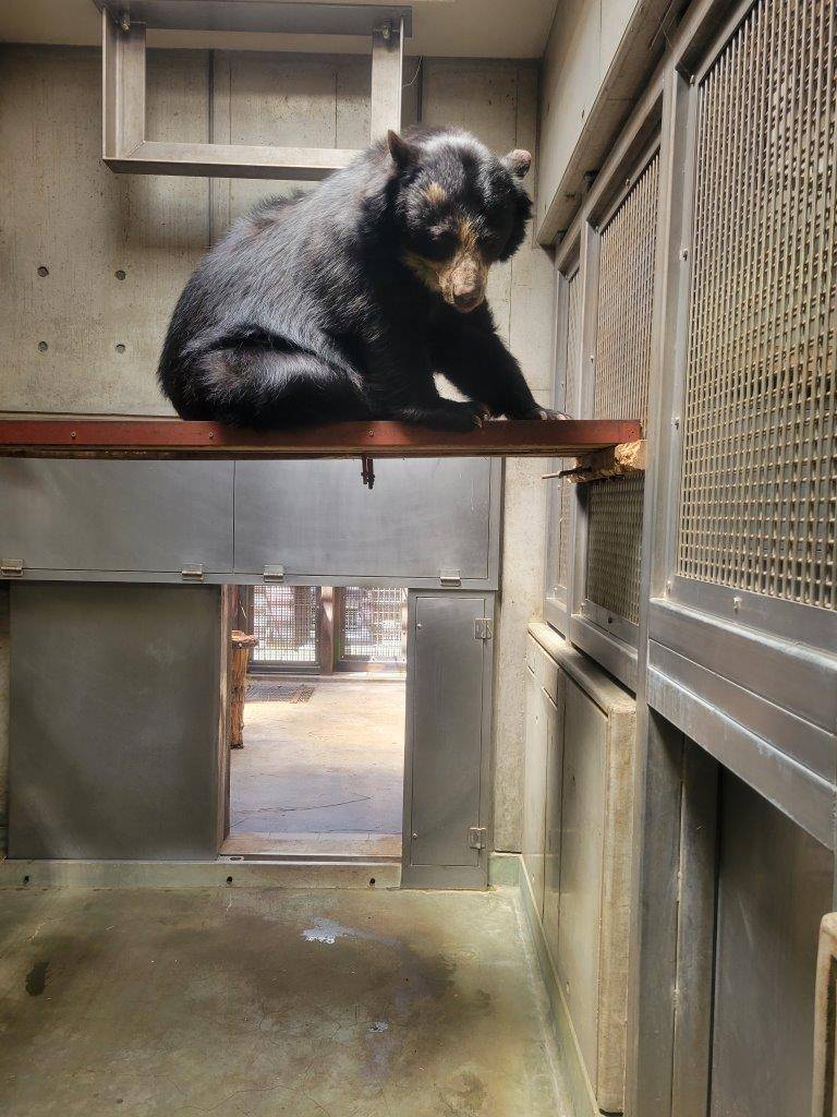 寝台上で動き始めた美雨