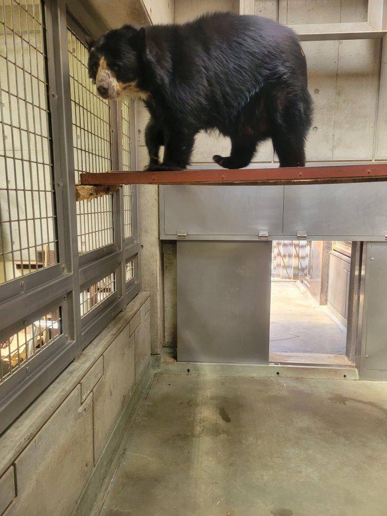 フェンスを利用して下に降りる美雨①