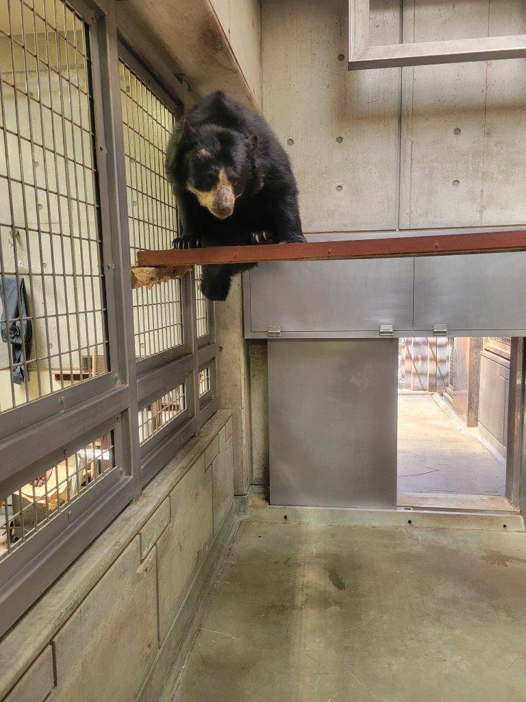 フェンスを利用して下に降りる美雨②