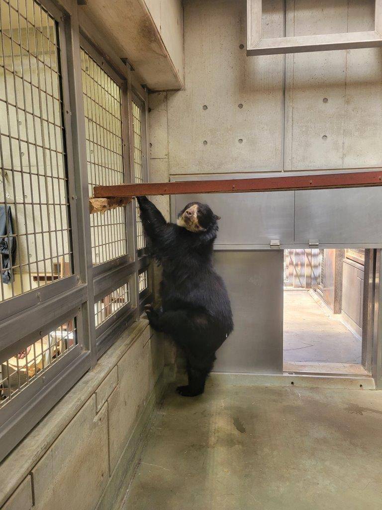 あっという間に地面に到達した美雨