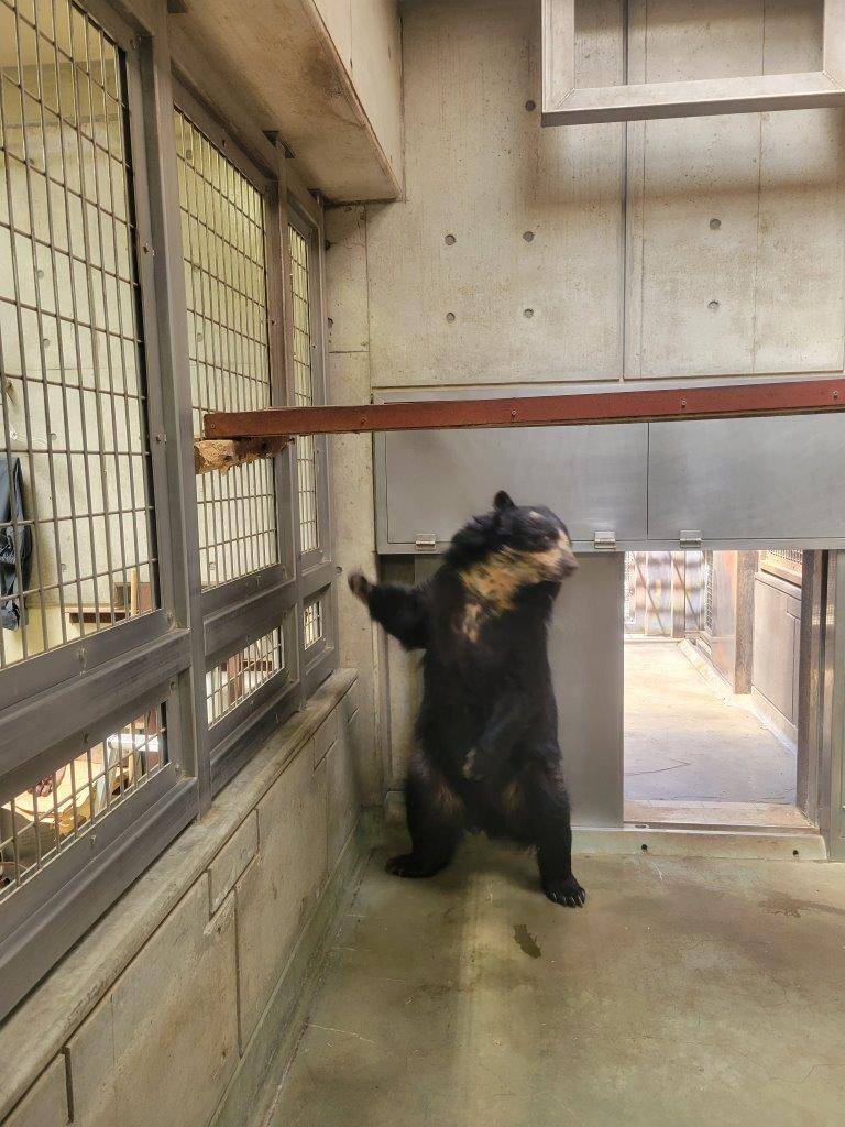 地面に降り立った美雨