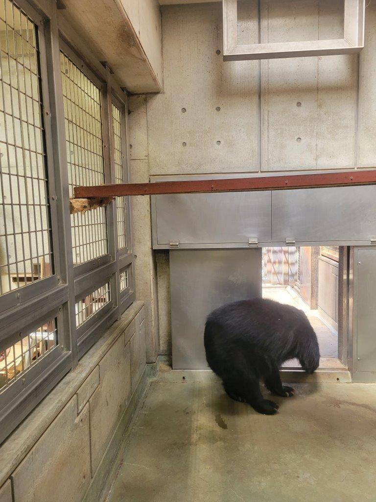 無事着地して、サブに出ていく美雨