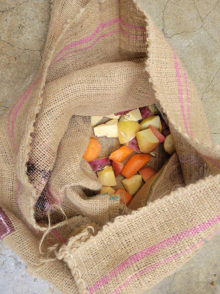 細かく切った餌をドングロスに入れました